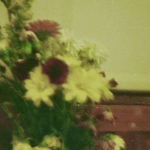 Meet your Posher, Francesca